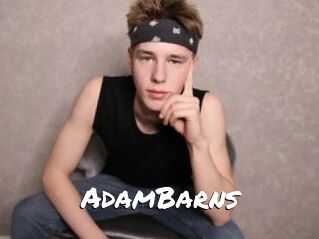 AdamBarns