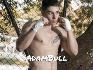 AdamBull