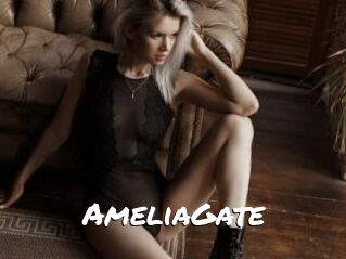 AmeliaGate