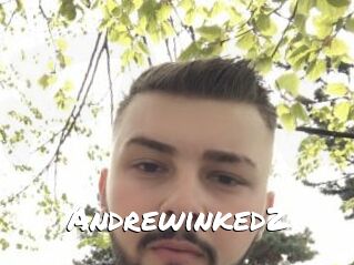 Andrewinked2