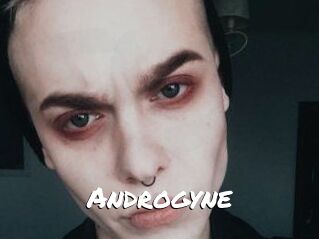 Androgyne