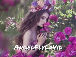 AngelFlyLaVid