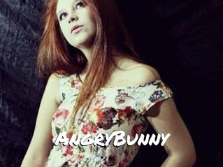 AngryBunny