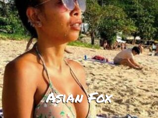Asian_Fox