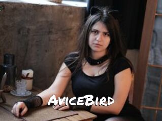 AviceBird