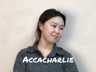 Accacharlie