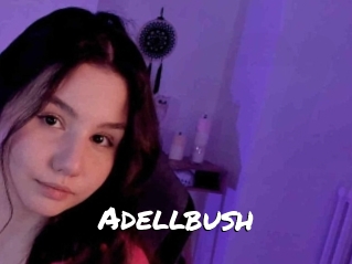 Adellbush