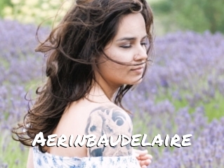 Aerinbaudelaire