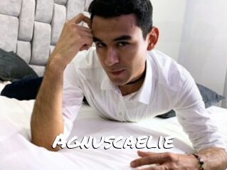 Agnuscaelie