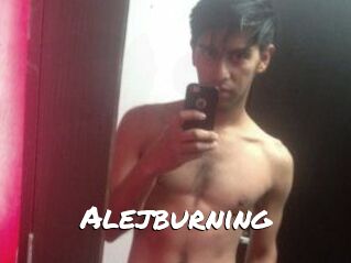 Alejburning