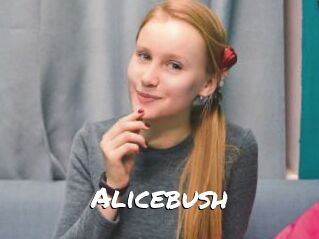 Alicebush
