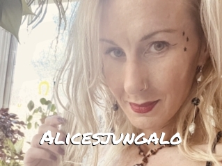 Alicesjungalo