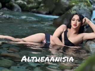 Altheaanisia