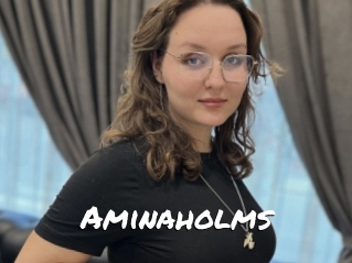Aminaholms