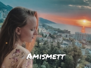 Amismett