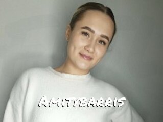 Amitybarris