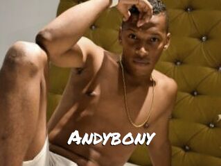 Andybony