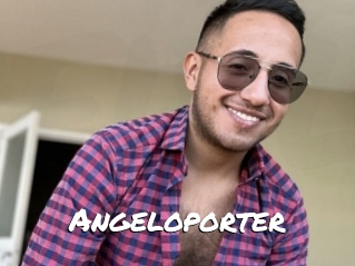 Angeloporter
