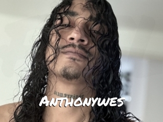 Anthonywes