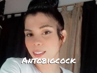 Antobigcock