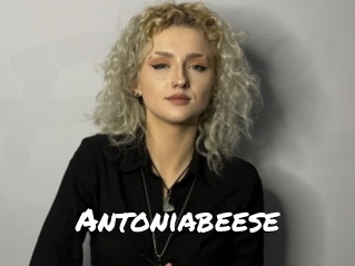 Antoniabeese