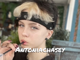 Antoniachasey