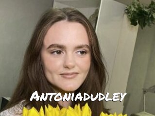 Antoniadudley