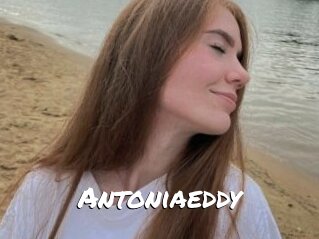 Antoniaeddy