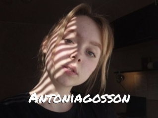 Antoniagosson