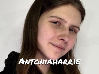 Antoniaharrie