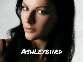 Ashleybiird