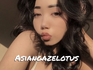 Asiangazelotus