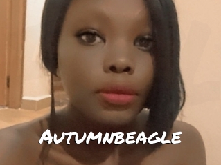 Autumnbeagle