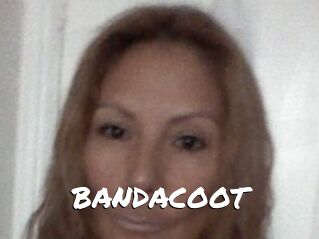 BANDACOOT