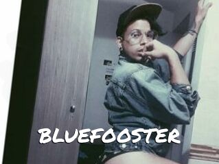 BLUEFOOSTER