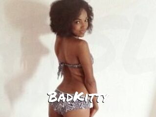 Bad_Kitty_