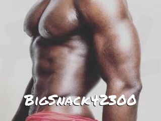 BigSnack42300