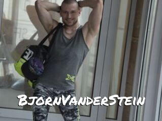 BjornVanderStein