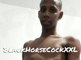 BlackHorseCockXXL