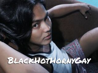 BlackHotHornyGay