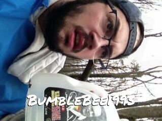 BumbleBee1993