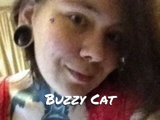 Buzzy_Cat