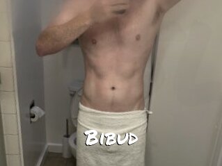 Bibud