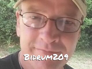 Bidrum209