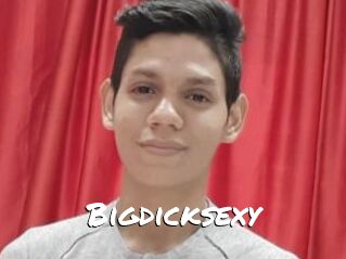 Bigdicksexy