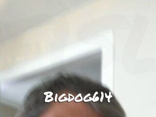 Bigdog614