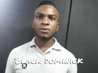 Black_dominick