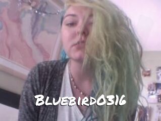 Bluebird0316