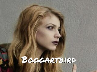 Boggartbird