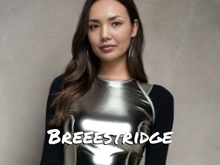 Breeestridge